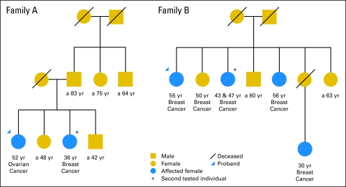 Fig 3.