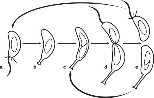 FIG. 5.