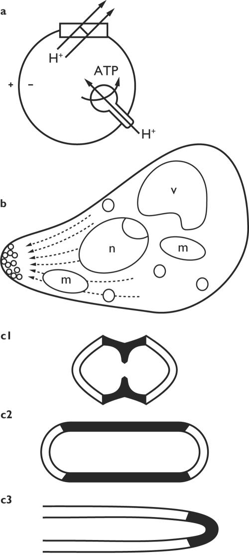 FIG. 3.