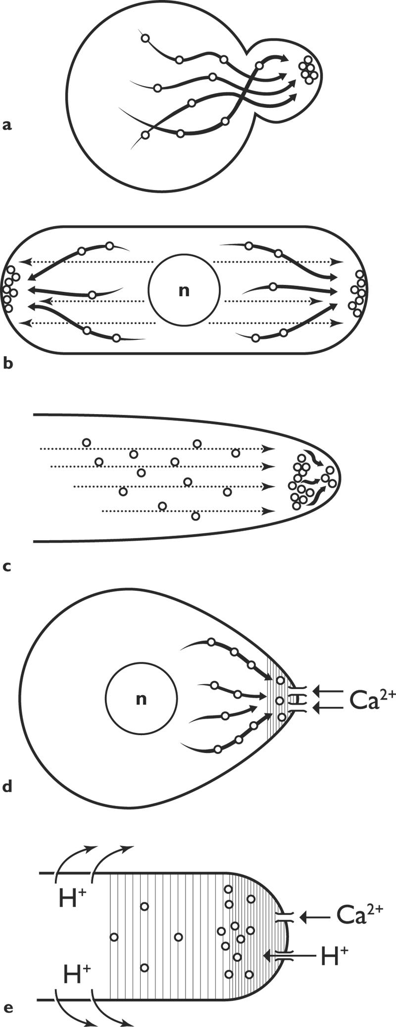 FIG. 7.