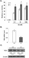 FIG. 7.