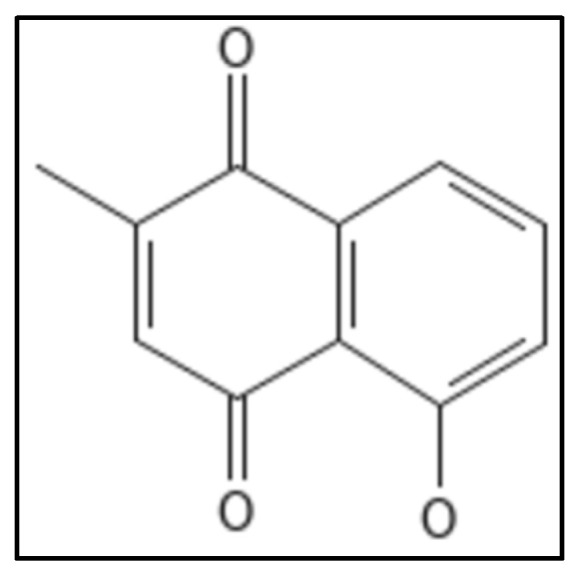 Figure 16