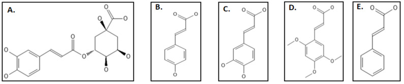 Figure 15