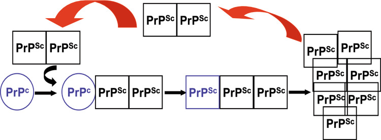 Fig. 2