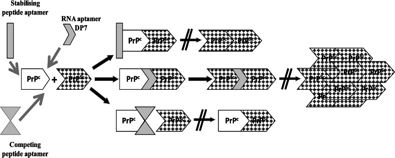 Fig. 4