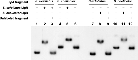 FIG. 5.