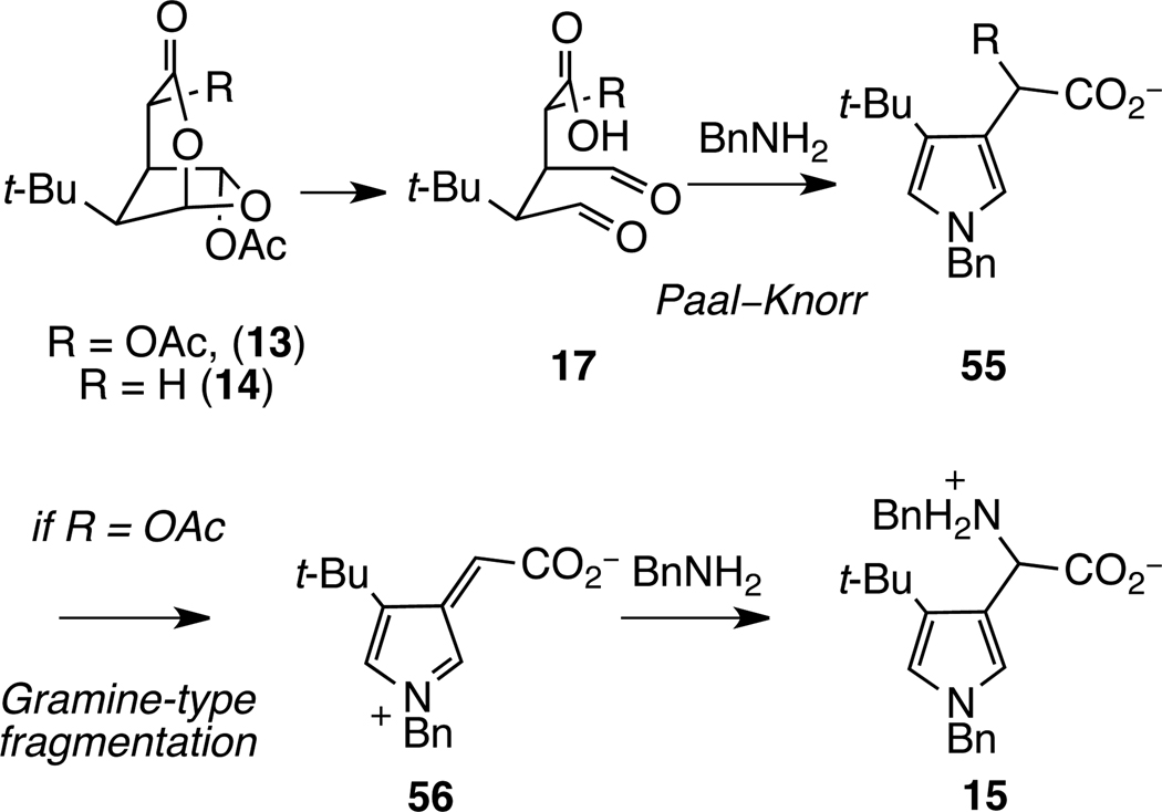 Scheme 9