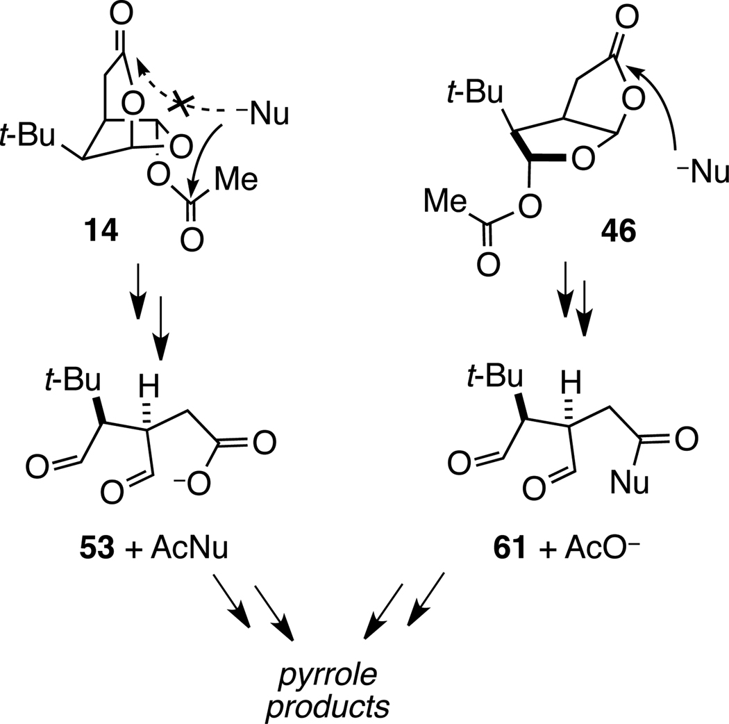 Scheme 12