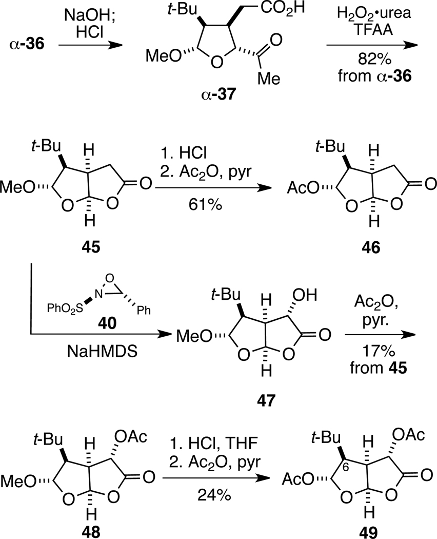 Scheme 6