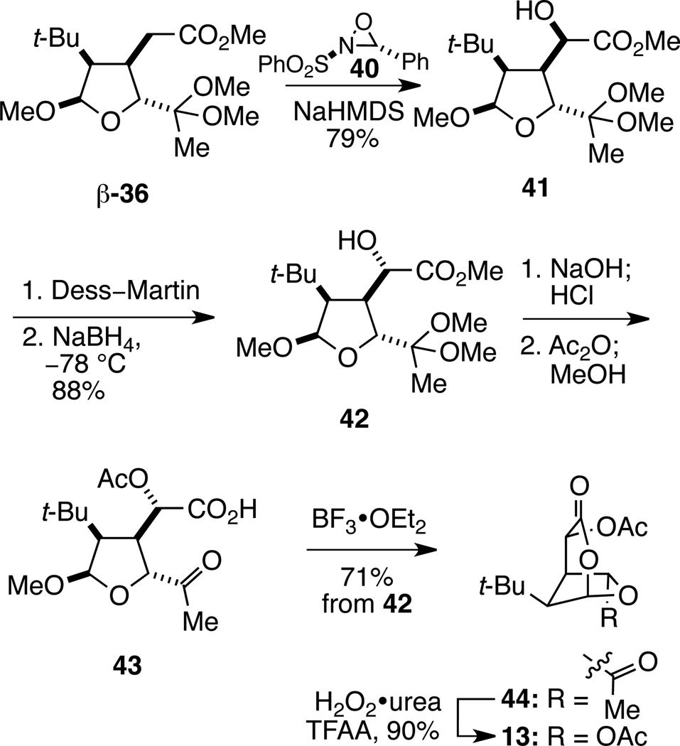 Scheme 5