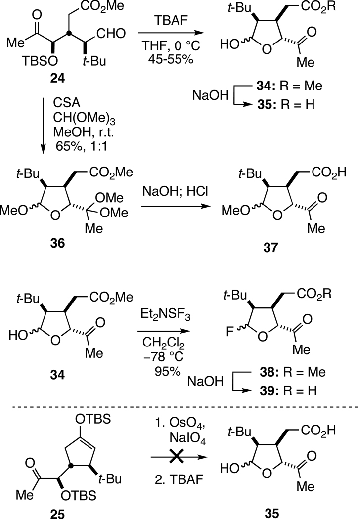 Scheme 4