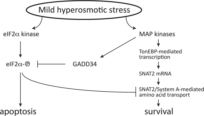 FIGURE 9.