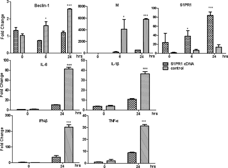 Fig 6