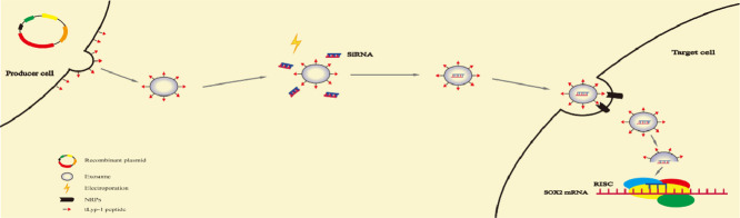 Image, graphical abstract