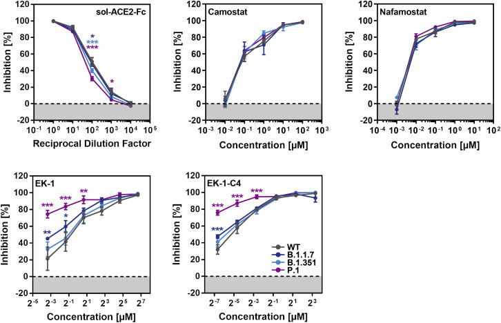 Figure 5