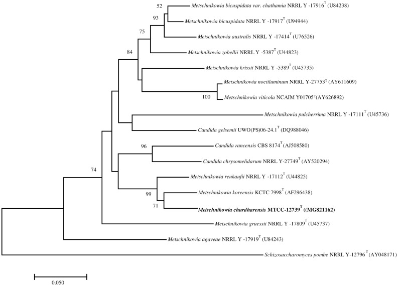 FIGURE 1