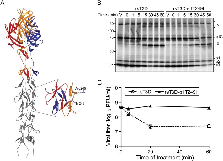 Figure 4