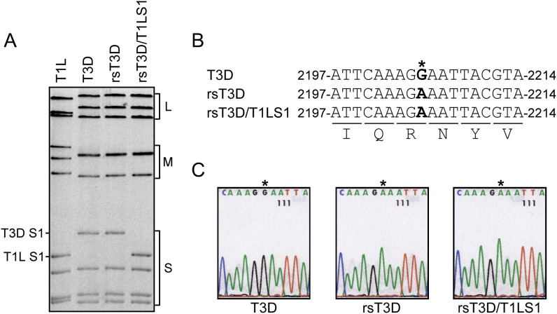 Figure 2