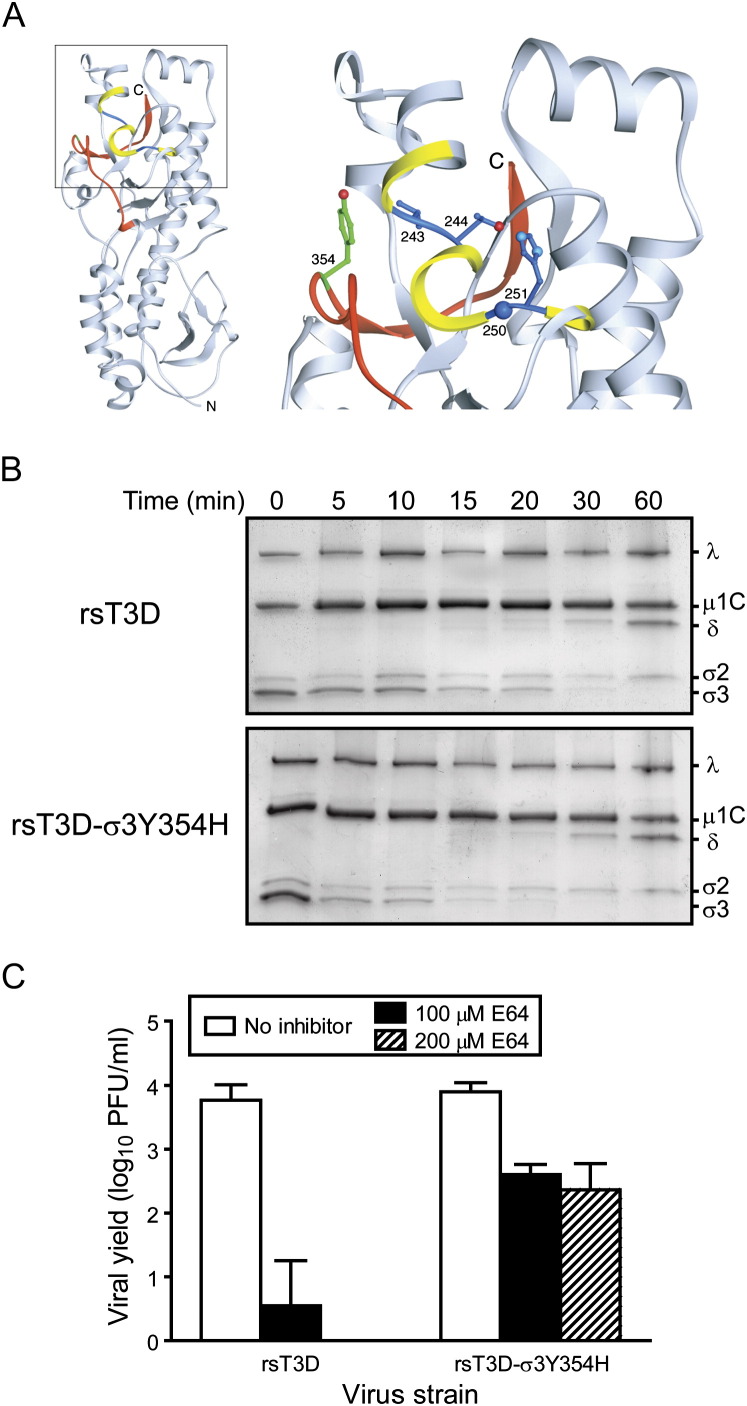 Figure 6