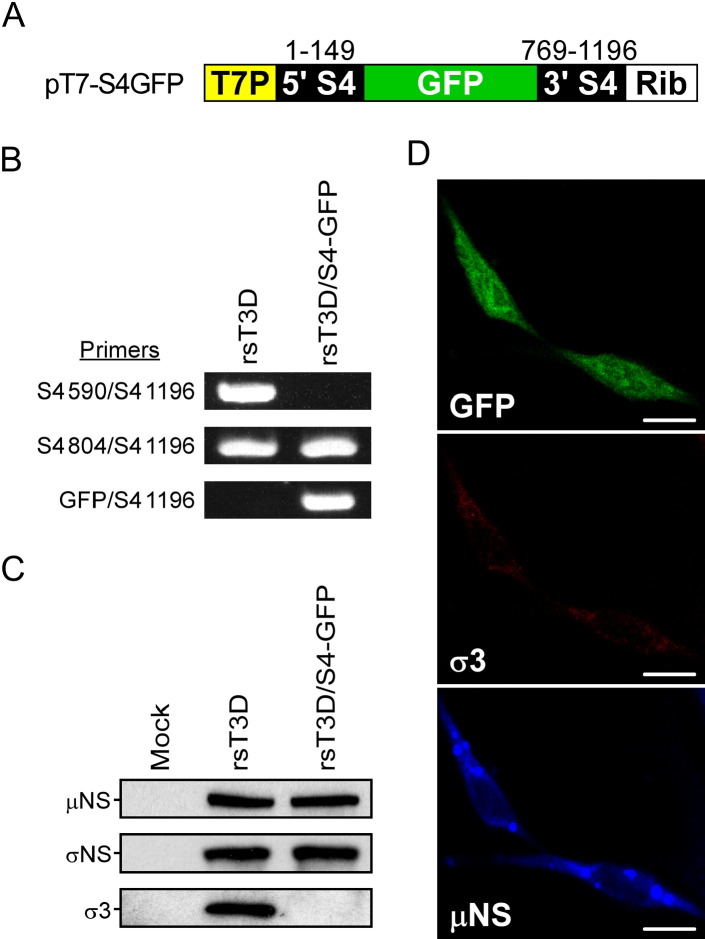 Figure 7