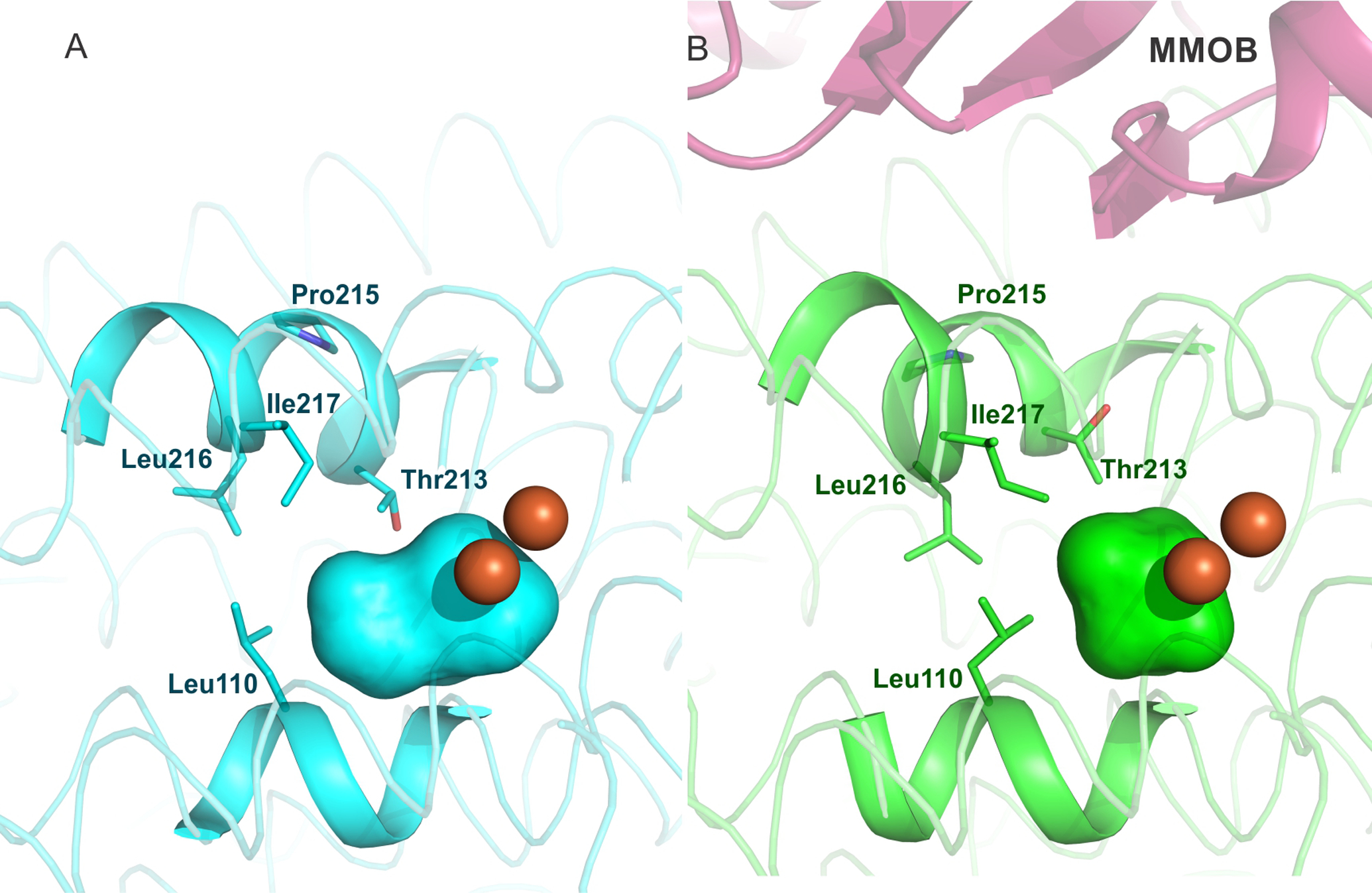 Figure 5.