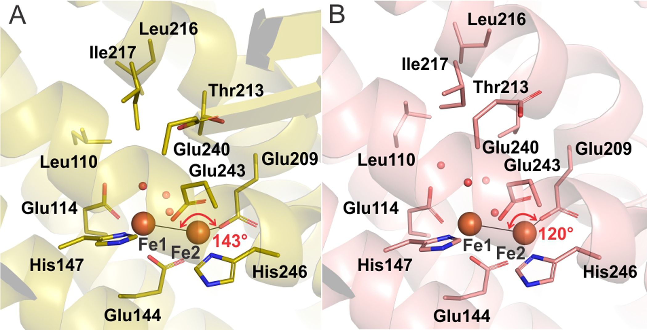 Figure 10.