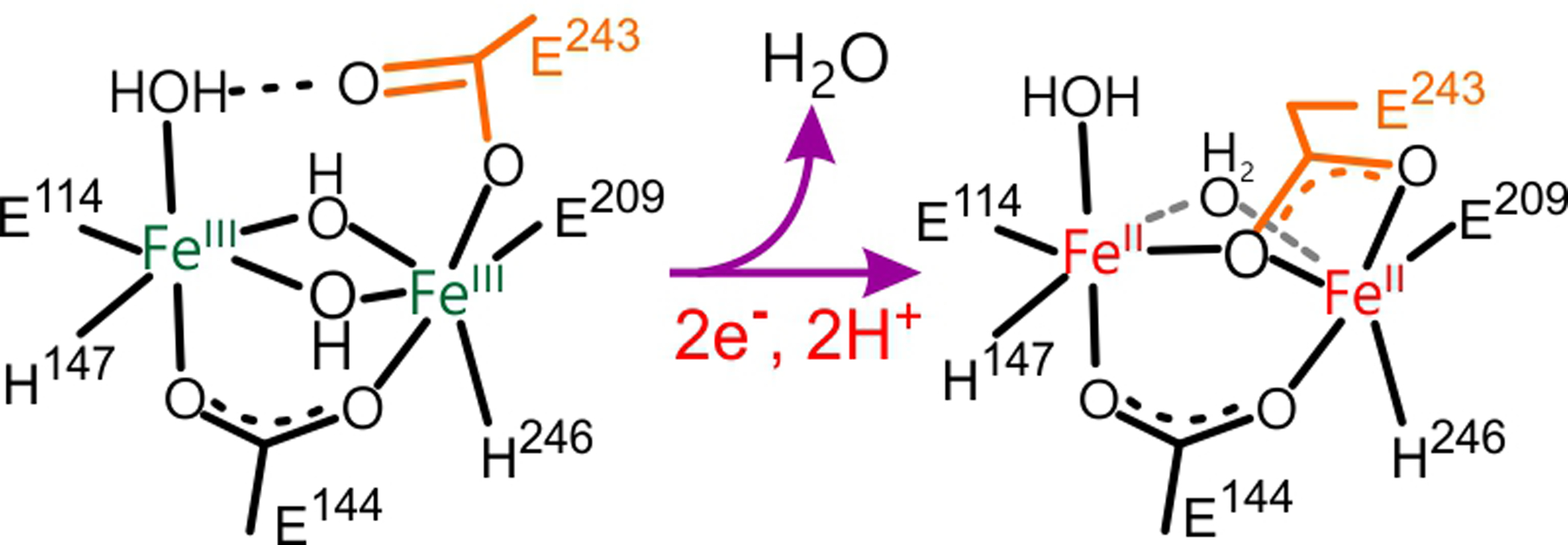 Scheme 2.