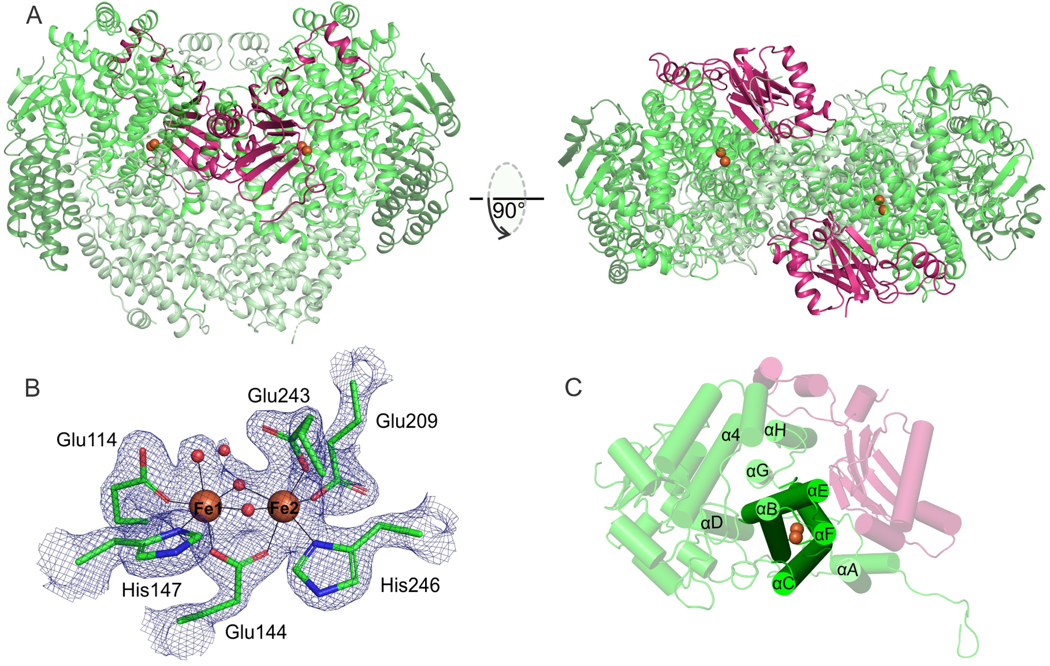 Figure 1.