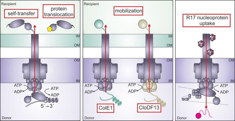 FIG 1