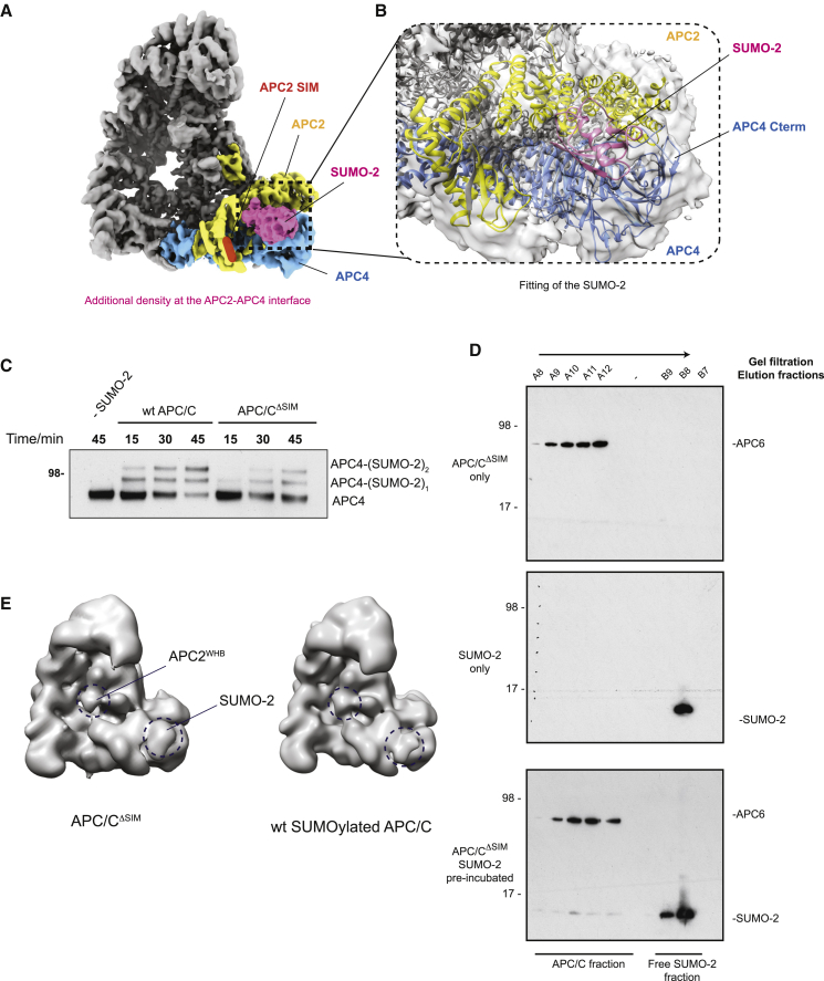 Figure 4