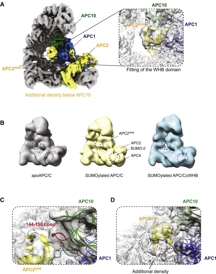 Figure 3