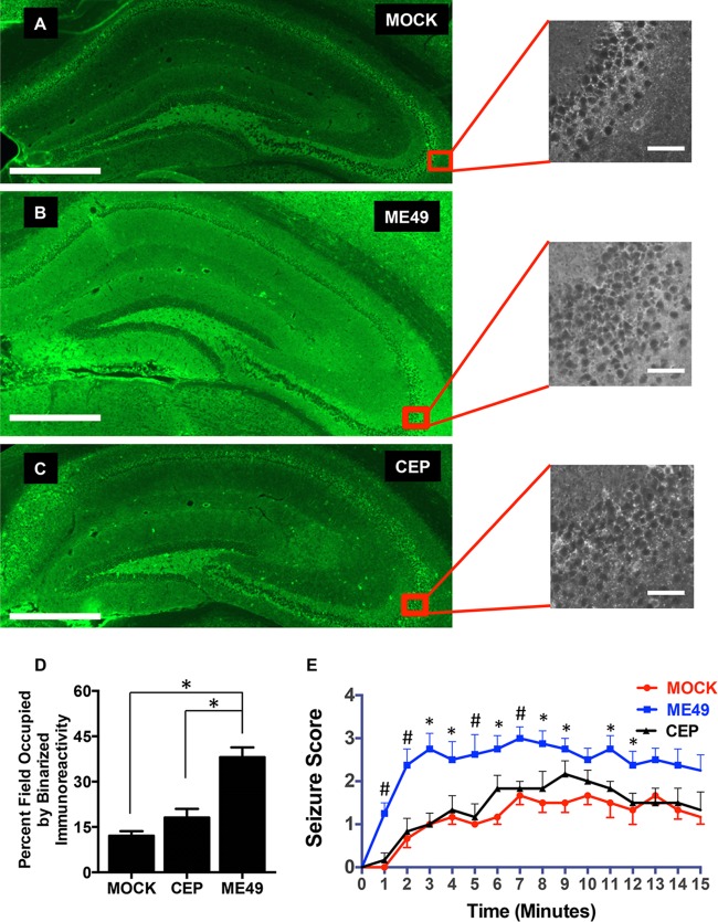 FIG 6 