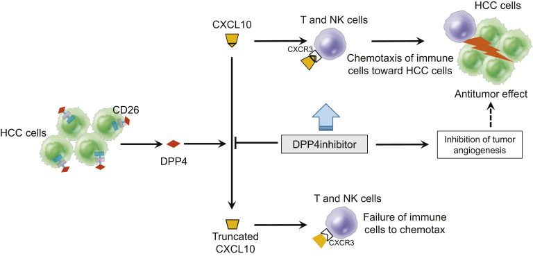 Figure 12