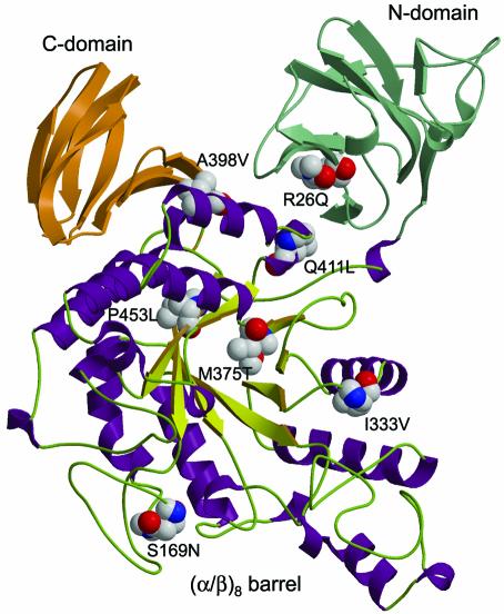 FIG. 2.