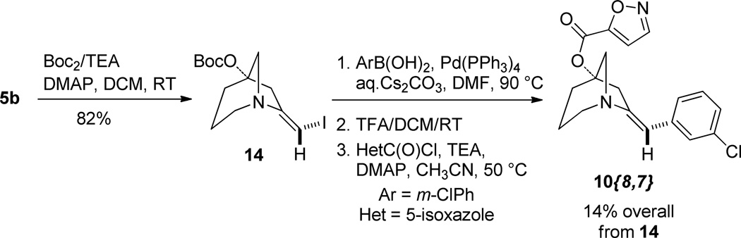 Scheme 5