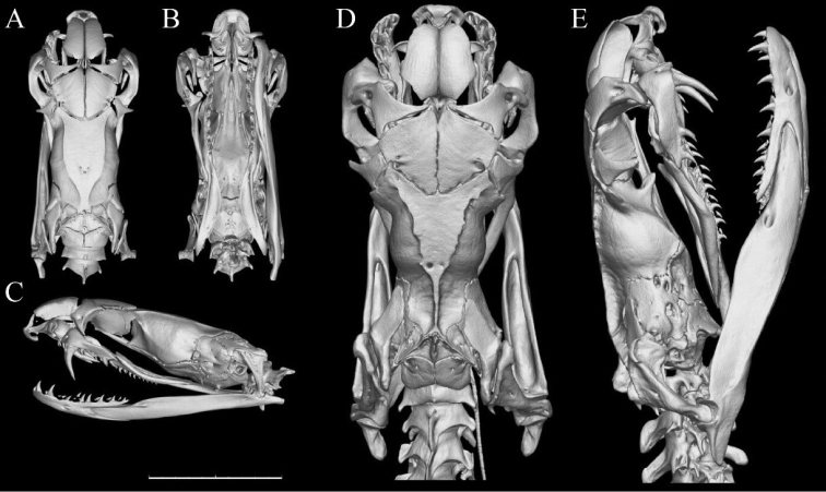 Figure 13.