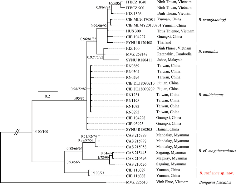 Figure 3.