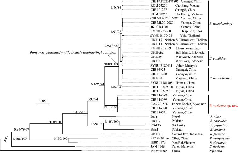 Figure 2.