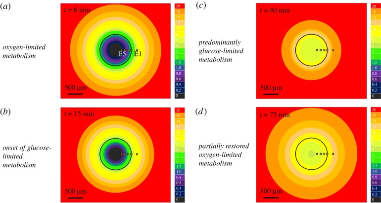 Figure 4.