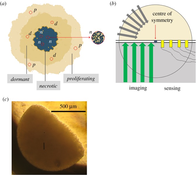 Figure 3.