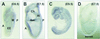 FIG. 3