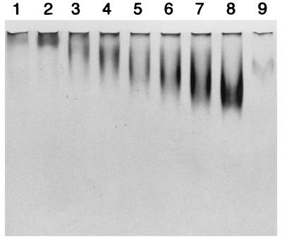 FIG. 7