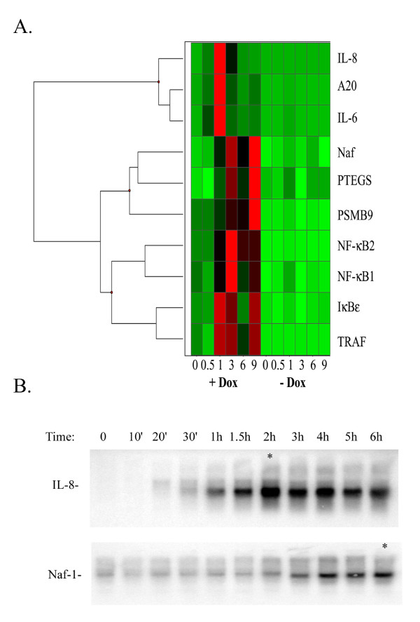 Figure 5