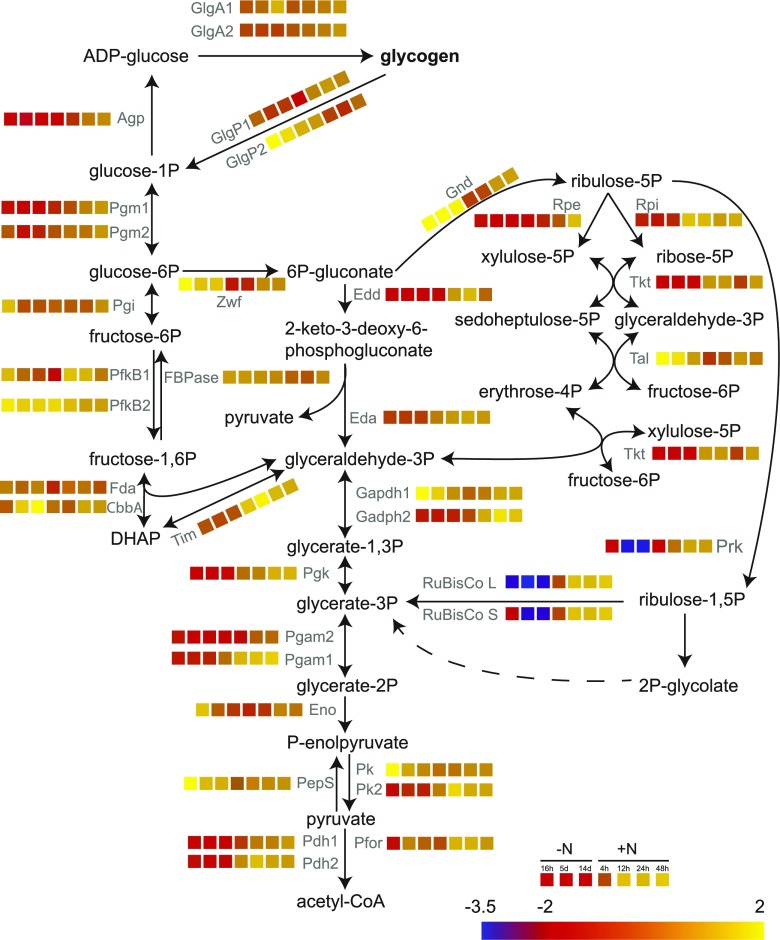 Figure 7.