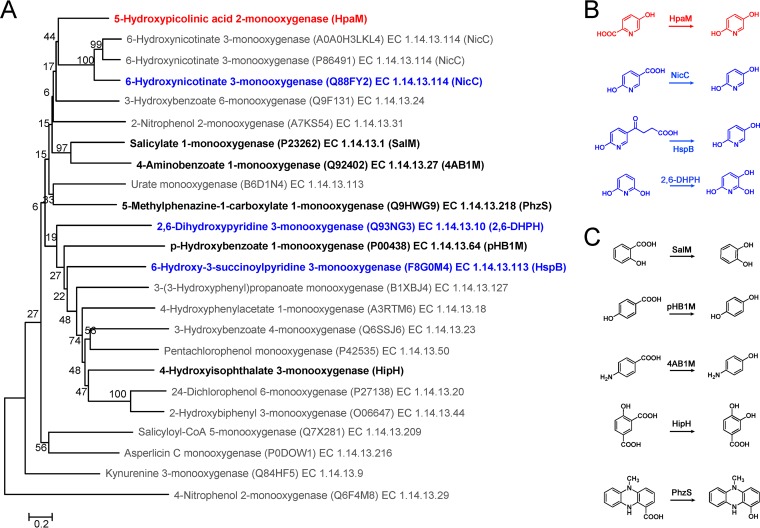 FIG 4