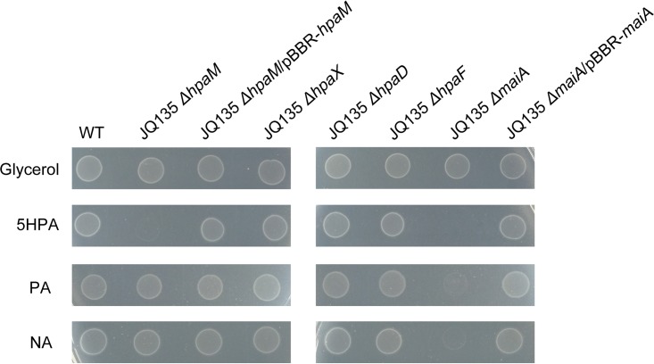 FIG 2