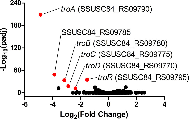 FIG 1