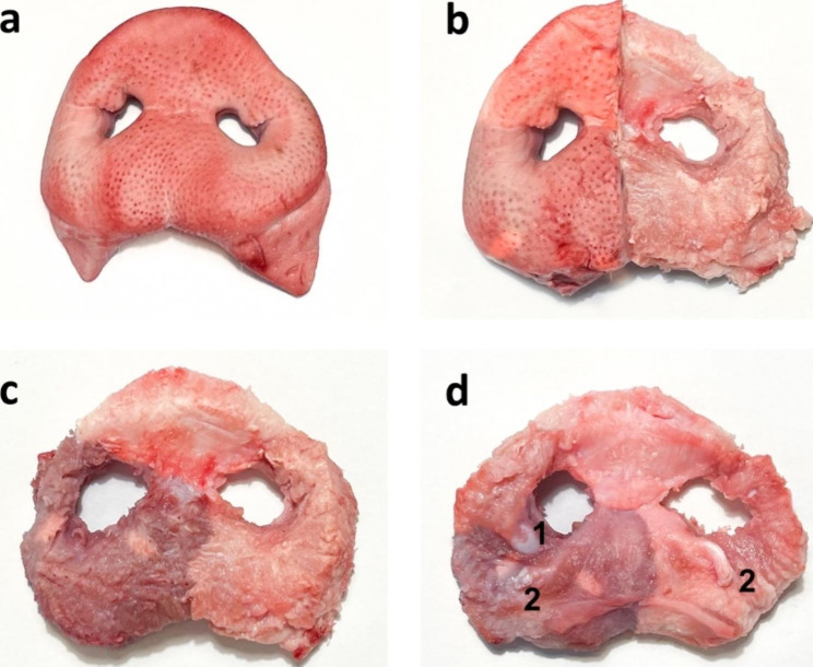 Fig. 4