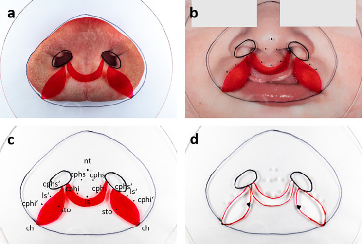 Fig. 2