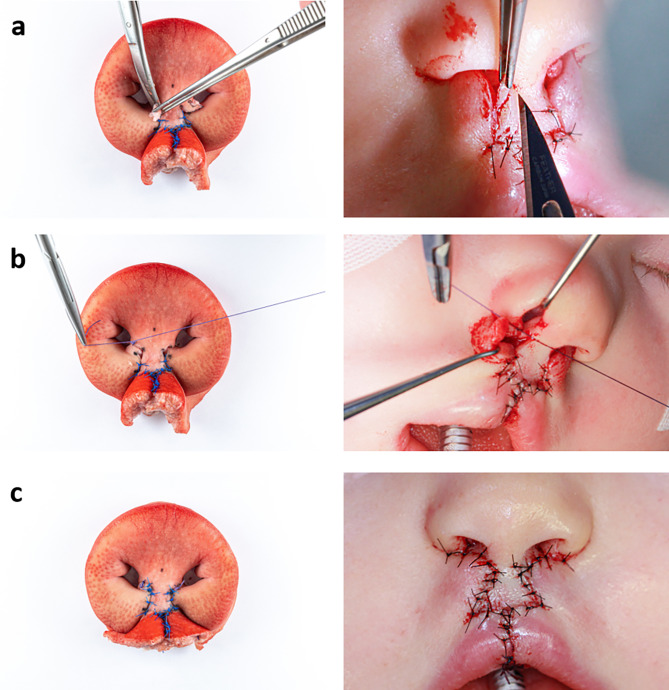 Fig. 7